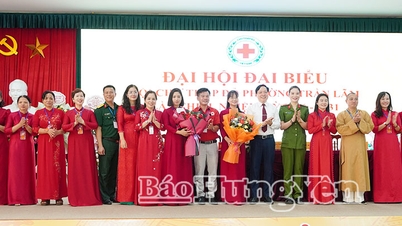 Primo Congresso dei Delegati della Società della Croce Rossa del distretto di Tran Lam
