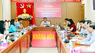 Hội nghị cập nhật, bồi dưỡng kiến thức cho cán bộ, công chức ngành Kiểm tra Đảng