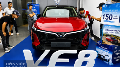 Prima esperienza con la VinFast VF8 2026: vale la pena acquistare un'auto del segmento D con un prezzo da segmento C?