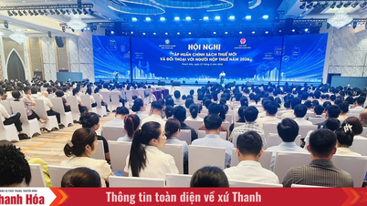 Tập huấn chính sách thuế mới và đối thoại với người nộp thuế