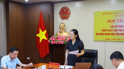 Esame della bozza di risoluzione sull'istituzione della città di Quang Ninh.