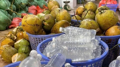 ¿Beber mucha agua de coco es bueno para la salud cuando hace calor?