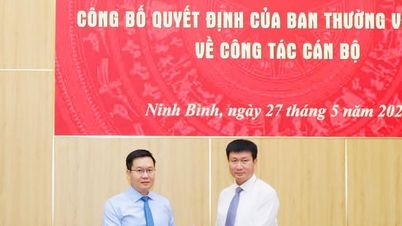 Kunngjøring av avgjørelsen fra Ninh Binh-provinsens stående komité om personalsaker.