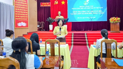 Jawatankuasa Pusat Kesatuan Wanita Vietnam memeriksa kerja kesatuan wanita akar umbi di Ca Mau.