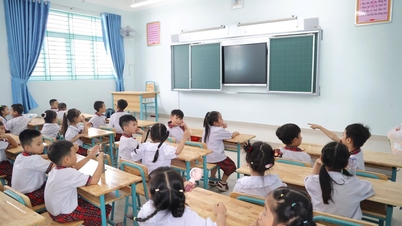 Il Dipartimento dell'Istruzione e della Formazione di Ho Chi Minh City mette in guardia contro alcuni errori nella procedura di iscrizione alla scuola primaria.