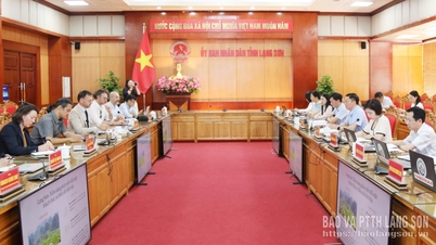 I leader del Comitato popolare provinciale hanno tenuto una riunione di lavoro con la delegazione dell'Agenzia francese per lo sviluppo in Vietnam.