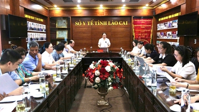 Lao Cai si sta preparando per la cerimonia di lancio di un programma di controlli e screening sanitari periodici gratuiti per i suoi residenti, che inizierà nel 2026.