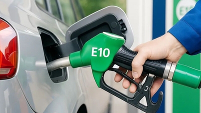 Quali sono i risultati della conservazione di campioni di benzina E10 per 3 mesi?