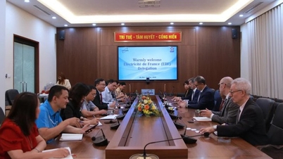 L'Istituto vietnamita per l'energia atomica sta rafforzando la cooperazione con il Gruppo EDF nello sviluppo dell'energia nucleare.