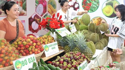 Nel 2026, il quartiere di Long Khánh organizzerà il Festival della Frutta.
