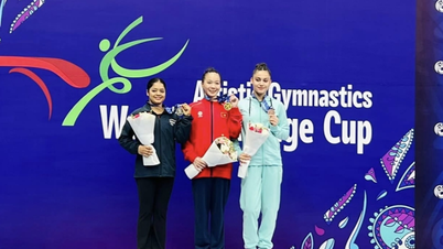 Det vietnamesiska gymnastiklaget slutförde framgångsrikt sitt uppdrag vid World Challenge Cup 2026.