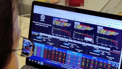 Saham bank menyokong Indeks VN di tengah-tengah tekanan jualan yang kukuh.