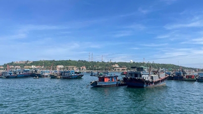 Le autorità di Hai Phong stanno cercando con urgenza di soccorrere una nave in difficoltà in mare.