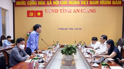 Il vicepresidente del Comitato popolare provinciale di An Giang, Ngo Cong Thuc, ha disposto una verifica dello stato di avanzamento dei progetti di investimento nel settore agricolo.