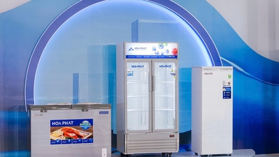 Hoa Phat Refrigeration partecipa a una serie di fiere internazionali dedicate ai settori lattiero-caseario, dei gelati, del tè al latte e delle bevande moderne.