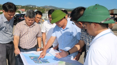 Il vicepresidente del Comitato popolare provinciale, Nguyen Thien Van, ha condotto un'ispezione sul campo delle aree di acquacoltura nella baia di Xuan Dai e sull'isola di Mai Nha.