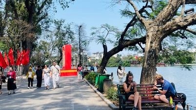 I turisti vietnamiti sono in testa alla classifica APEC per quanto riguarda la ricerca di offerte di viaggio.