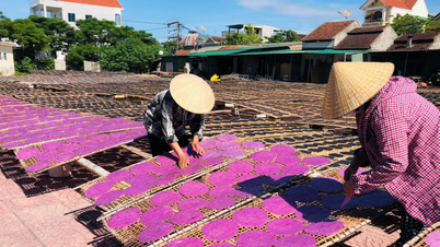 Die Vitalität des traditionellen Dorfes in Luong, das Sesam-Reiscracker herstellt.