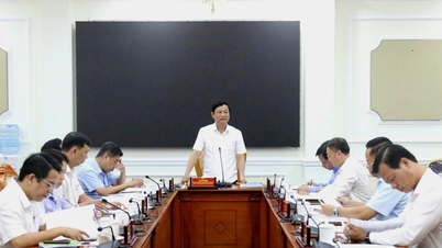 Città di Ho Chi Minh: dare priorità alle risorse per i principali progetti ambientali.