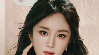 Yang Mi após uma série de fracassos amargos