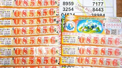 Nel pomeriggio del 27 maggio è stato svelato il vincitore del jackpot di 11 biglietti della lotteria del Vietnam del Sud.