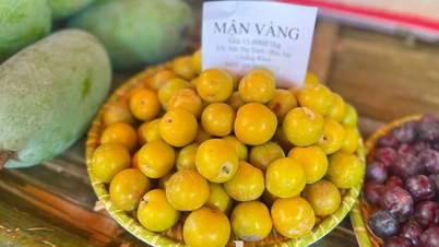 Promuovere lo sviluppo del mercato interno, stimolare la domanda dei consumatori e intensificare la campagna "I vietnamiti danno priorità all'utilizzo di prodotti vietnamiti" nella provincia di Son La.