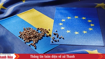 Tre paesi dell'UE mantengono divieti unilaterali su alcuni prodotti agricoli ucraini.
