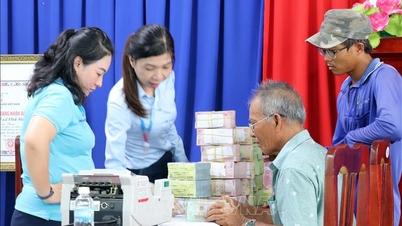 Accelerare il processo di risarcimento e reinsediamento per il progetto della centrale nucleare di Ninh Thuan 2.