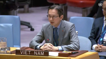 Il Vietnam rimane fermo nel suo impegno nei confronti della Carta delle Nazioni Unite, del diritto internazionale e del multilateralismo.