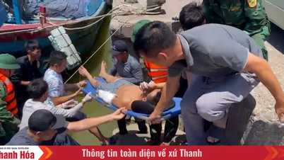 Le forze della Guardia di Frontiera hanno prontamente soccorso i pescatori rimasti vittime di incidenti sul lavoro in mare.