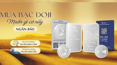 I vantaggi di DOJI nell'ingresso nel mercato dell'argento sono molto attraenti per gli investitori.