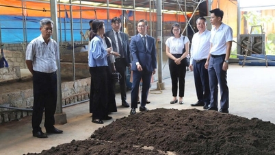 Hai Phong collabora con un partner sudcoreano per il trattamento dei rifiuti organici.