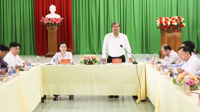 Kim Ngoc Thai, vicesegretario del Comitato provinciale del Partito, collabora con il Comitato del Partito del distretto di Dong Thanh.