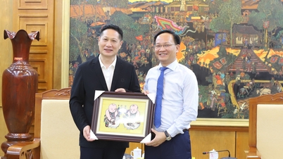 Les entreprises chinoises recherchent des opportunités d'investissement dans les infrastructures d'IA à Bac Ninh.