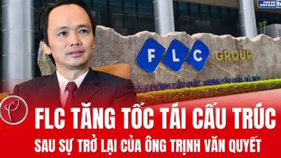 FLC accélère sa restructuration après le retour de M. Trinh Van Quyet.