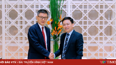 Chicilon Media nâng cấp đội ngũ quản lý, thúc đẩy chiến lược quốc tế hóa và AI số hóa