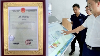 Thanh Hoa: Companiile aplică tehnologia pentru a-și menține marca și cota de piață.