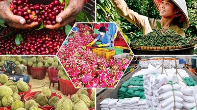 Tiêu chí đánh giá, phân hạng sản phẩm OCOP