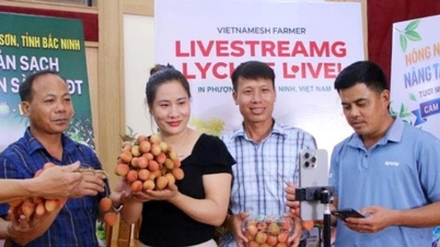 Bac Ninh: Promuovere i litchi e i prodotti a base di olio d'oliva e di palma attraverso applicazioni di intelligenza artificiale.