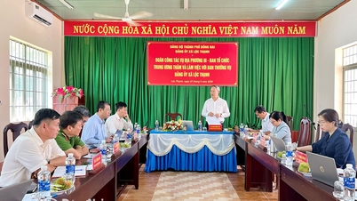Kumpulan kerja Jabatan Hal Ehwal Tempatan III telah bekerjasama dengan Jawatankuasa Parti komun Loc Thanh dan Tan Tien.