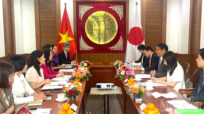 Vietnamul și Japonia promovează cooperarea în industriile culturale și protecția drepturilor de autor.