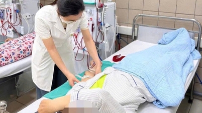 더운 날 신장을 보호하기 위한 4가지 징후와 3가지 원칙.