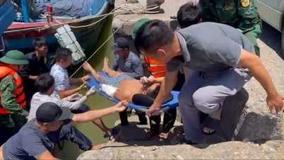 바다에서 작업 중 사고로 부상당한 어부들을 구조하는 일.