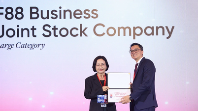 Nel 2026 F88 si è classificata tra i 3 migliori luoghi di lavoro in Vietnam.