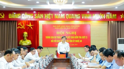 Attraverso la bozza di relazione sui risultati della seconda ispezione del Comitato permanente del Comitato provinciale del partito di Nghe An.