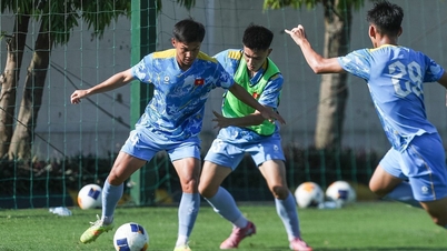 Il calcio vietnamita ha un'opportunità storica di conquistare tutti i titoli nel Sud-est asiatico.