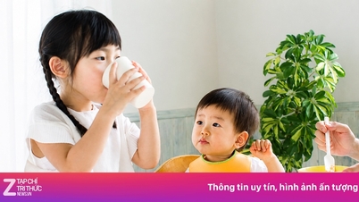 Con uống sữa nhiều nhưng vẫn thiếu chất, vì sao?
