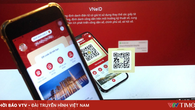 Trasformare VNeID in una super app, includendo servizi di pagamento.