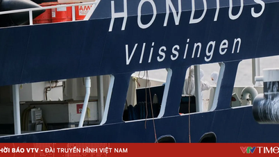 Het aantal hantavirusinfecties dat in verband wordt gebracht met internationale cruiseschepen blijft stijgen.