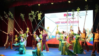 Diffondere i colori della cultura vietnamita in Cambogia.